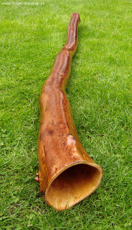 Didgeridoo