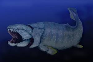 Dunkleosteus terreli, a placoderm from the Devonian, pencil drawing, digital coloring