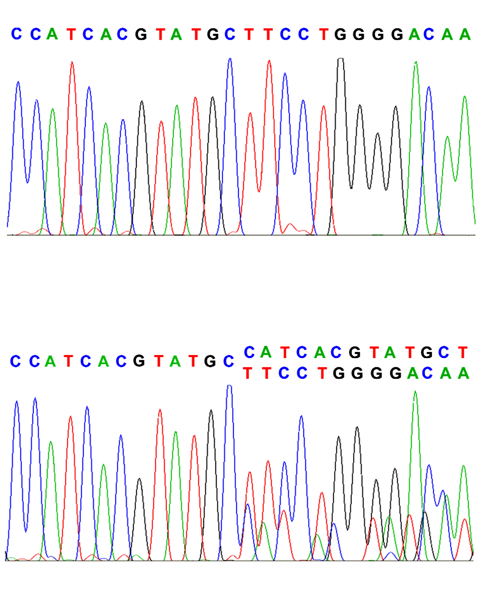 One of the mutation sequences which formed part of the study