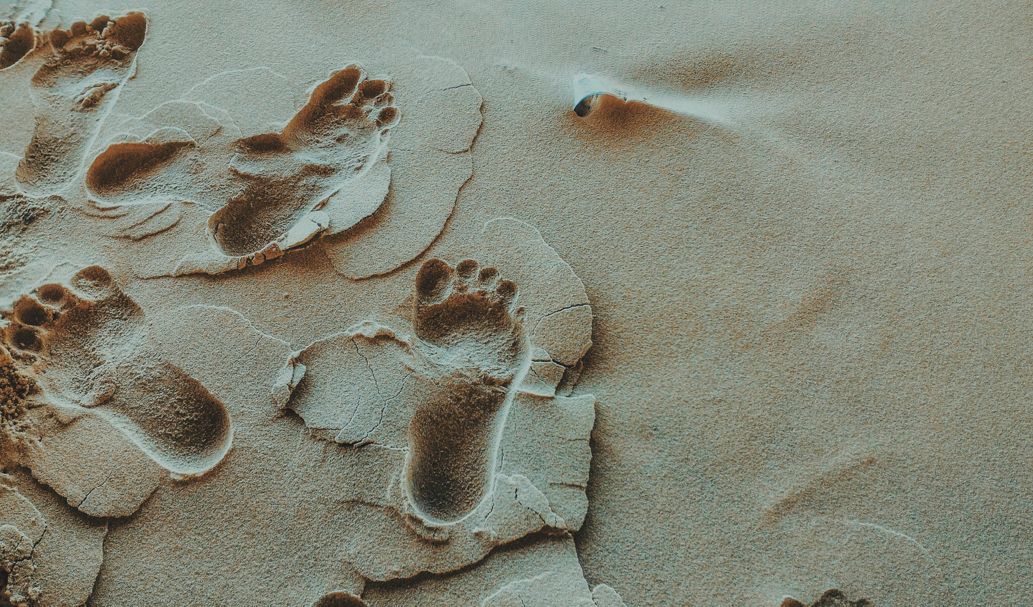 Footprints in sand on the beach