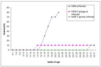 Figure 6. Effect of other helminths on development of type 1 diabetes in NOD mice