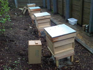 Urban Beekeeping - Hives
