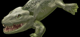 Tetrapod