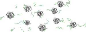 Cell membranes break down