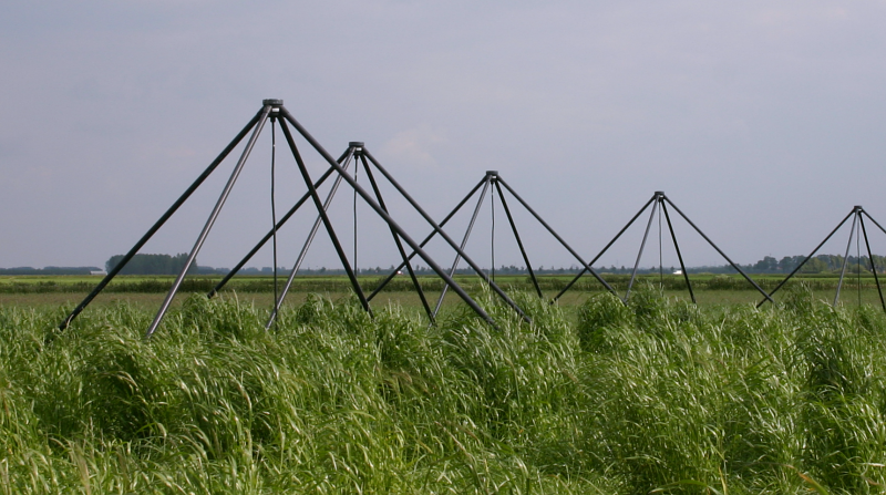Radio antennas of the ITS (Initial Test Station) radio telescope in Exloo, Netherlands. ITS is a prototype station for the LOFAR (LOw Frequency ARray) radio telescope.
