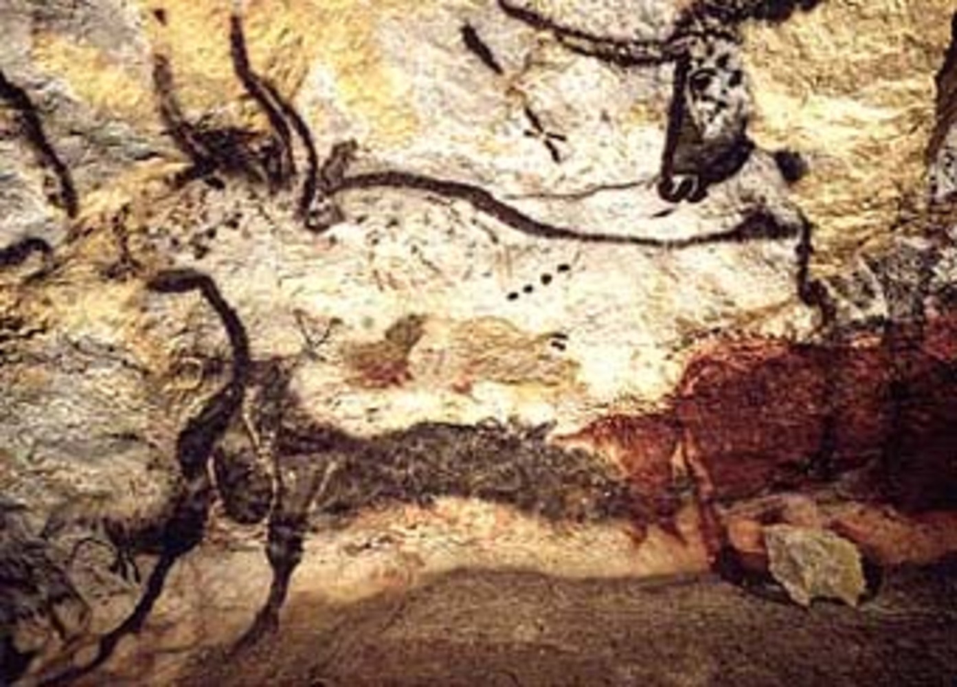 Cave painting of auroches (''Bos primigenius primigenius'') in Lascaux, France.