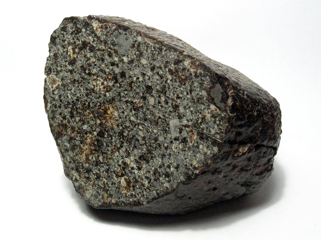 A 700g individual of the NWA 869 meteorite. Chondrules and metal flakes can be seen on the cut and polished face of this specimen. NWA 869 is a ordinary chondrite