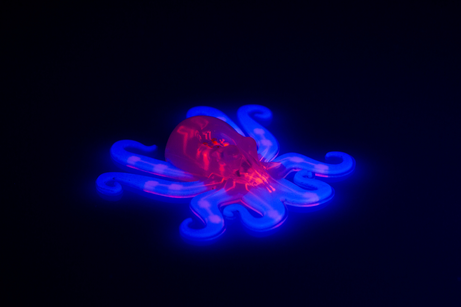 This image shows the octobot, an entirely soft, autonomous robot. A pneumatic network (red) is embedded within the octobots body and hyperelastic actuator arms (blue).