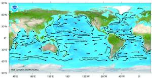 Major surface ocean currents
