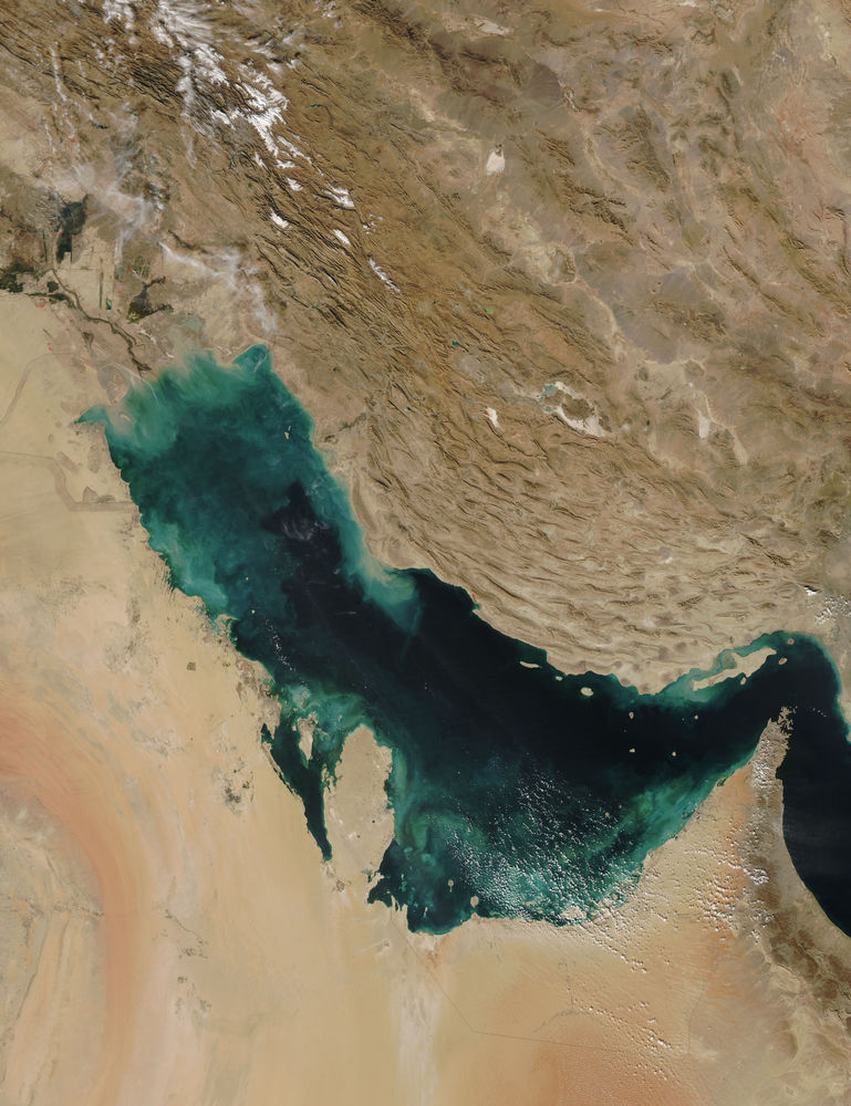 Persian Gulf viewed from space