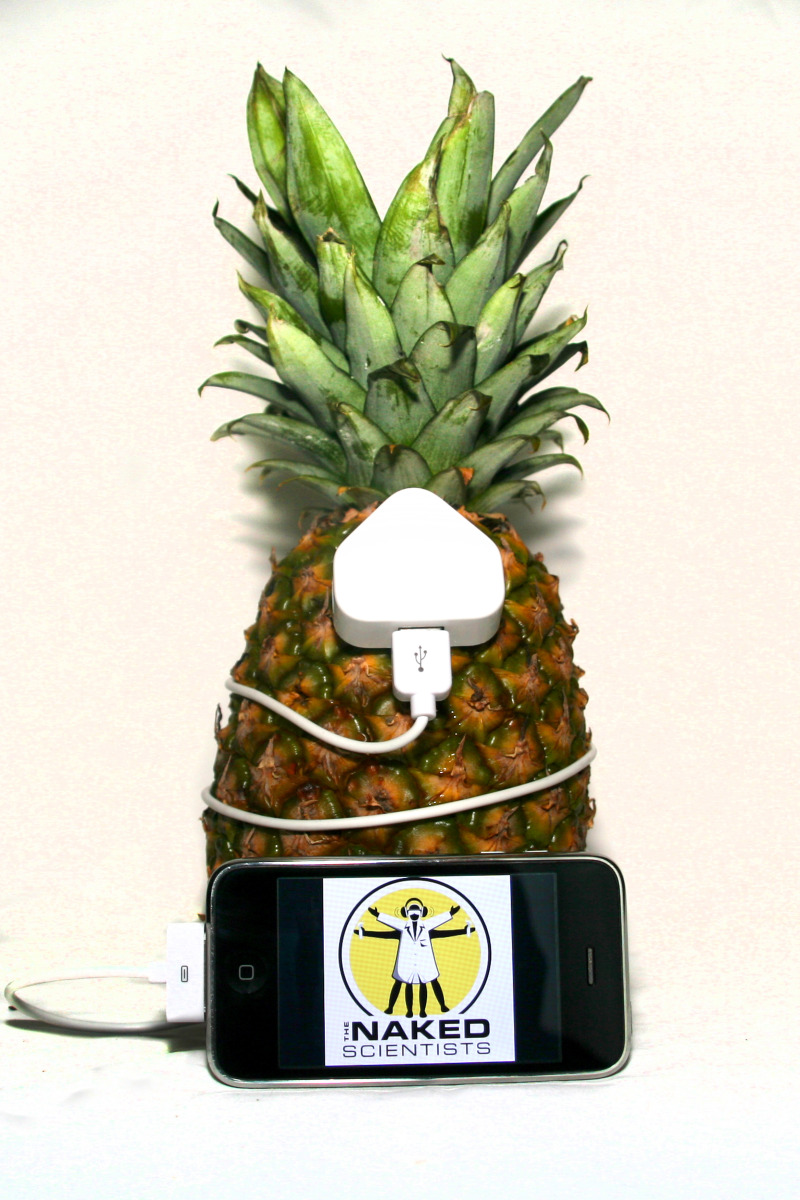 Pineapple Powered iPod