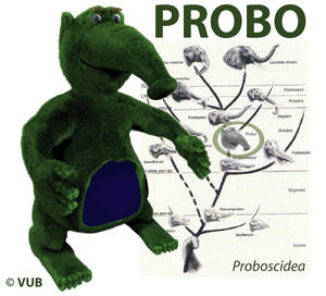 Probo and his family tree