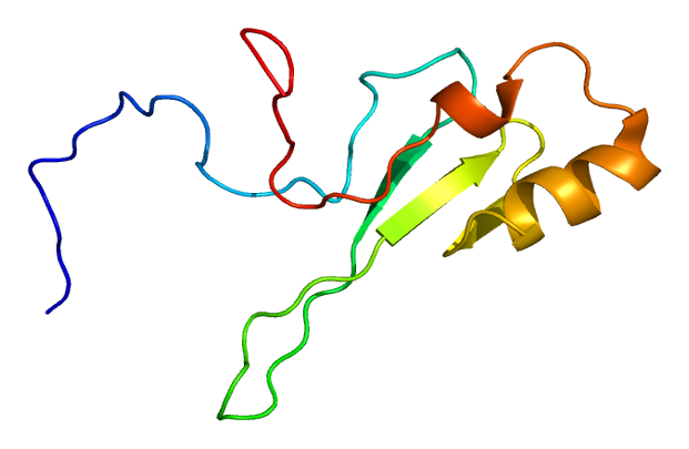 MeCP2