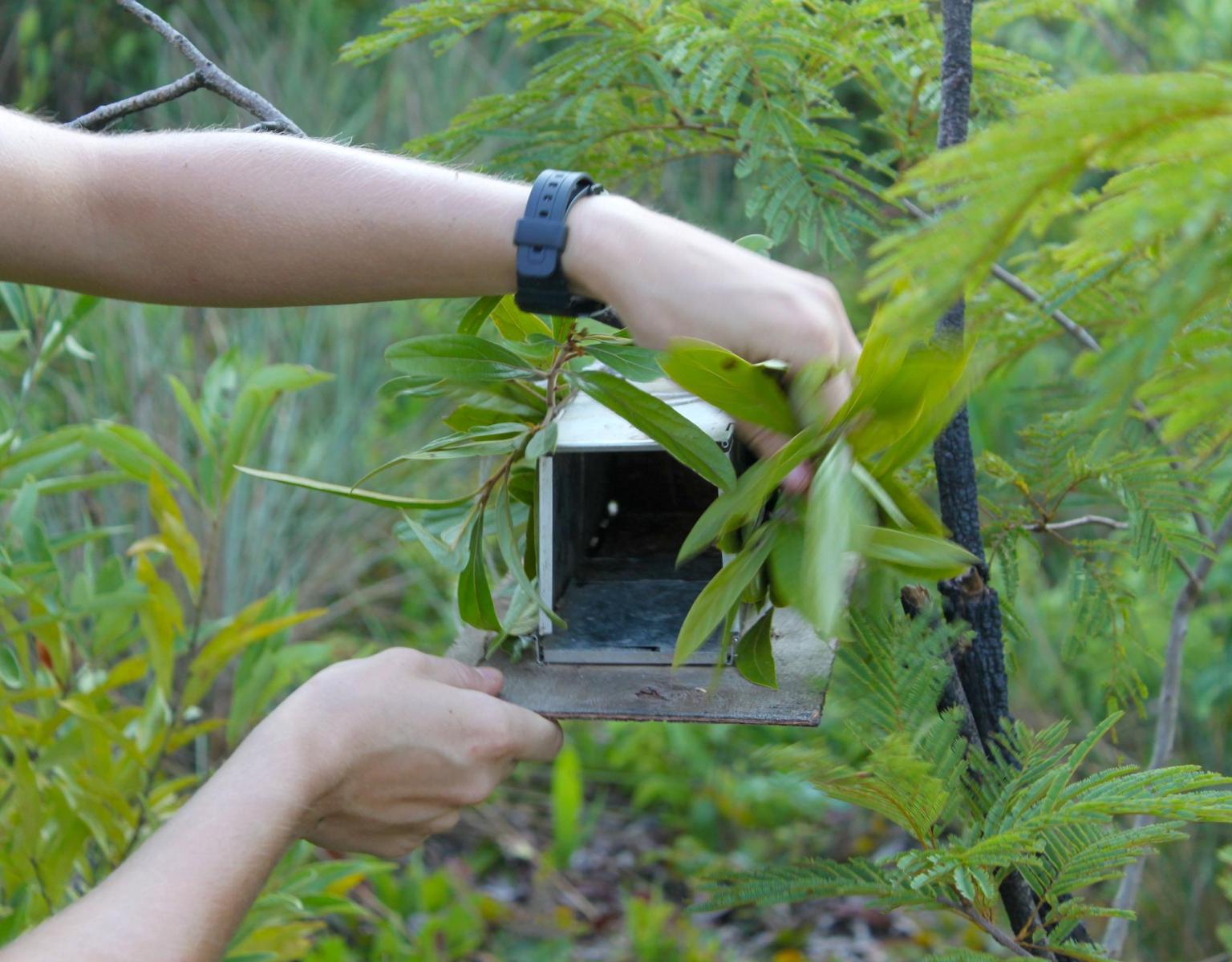 Sherman Trap, used to catch small animals.