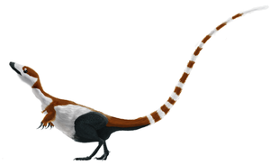 Digital illustration of the coelurosaurian dinosaur ''Sinosauropteryx prima'', based on the holotype specimen.