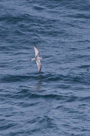 North-west of Falkland Islands