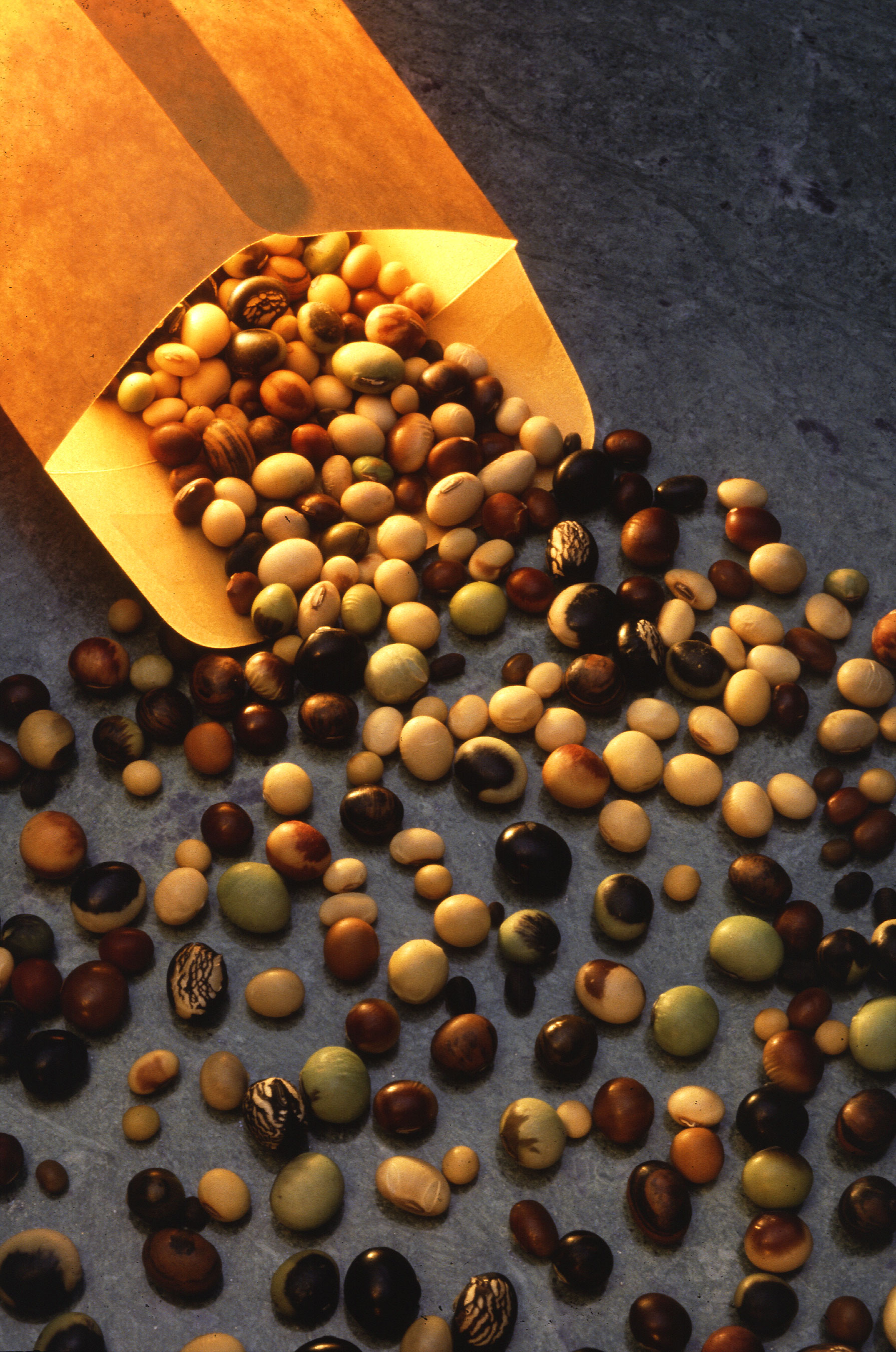 Varieties of soybeans