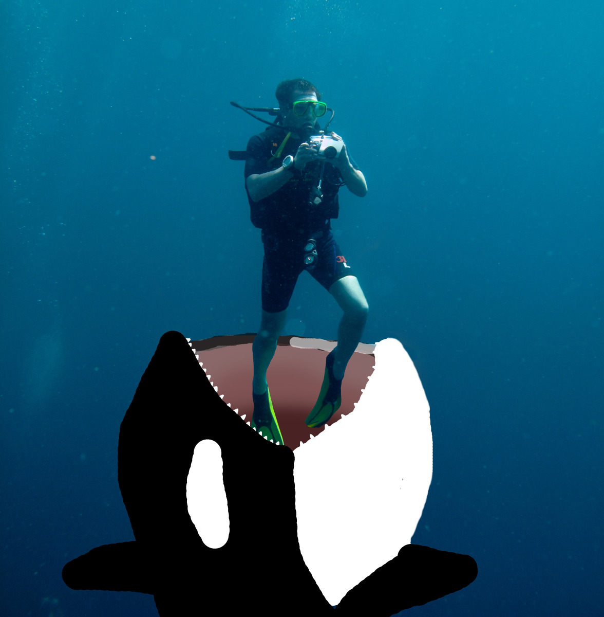 Orca eating diver