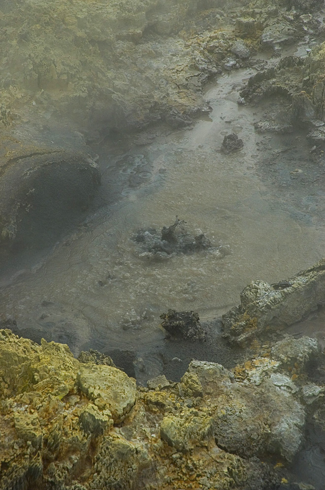 Mud pool at Hells Gate, New Zealand