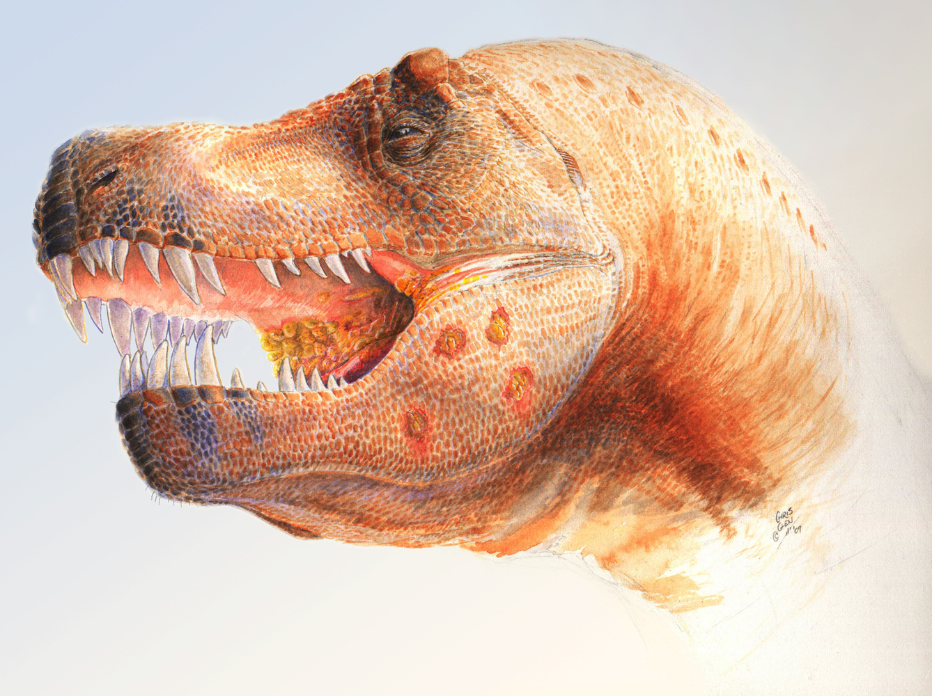 Figure 2 - Hypothesized reconstruction of the Trichomonas-like infection of a Tyrannosaurus rex. Parasites have plagued vertebrates for a very, very long time. They have co-evolved with us and our evolutionary ancestors over many millions of years.