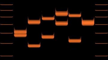 Vartiable number tandem repeats for six individuals