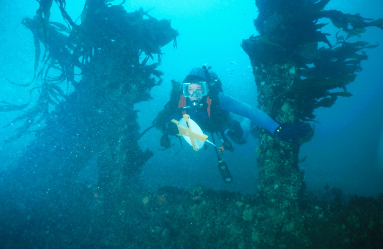 A driver exploring an underwater wreck