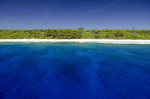 Pitcairn coastline, Enric Sala, National Geographic