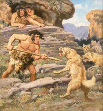 Figure 2: In this turn of the century painting by Charles R. Knight, the Neanderthal is shown attacking an animal at close range with a spear. This painting is actually relatively accurate, as it is believed that most Neanderthal groups hunted in this fashion. It was modern humans who took hunting a step further with distance weapons such as arrows and slings; another example of the cognitive difference between the two species.