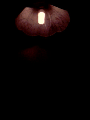 CFL Bulb in IR