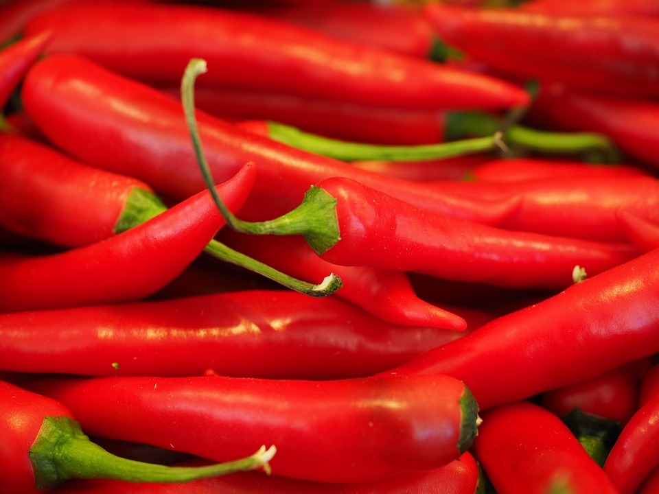Red chilli peppers