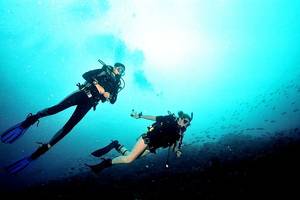 Coral Cay divers