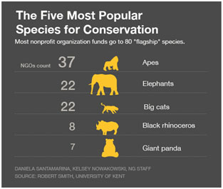 The five most popular species for conservation