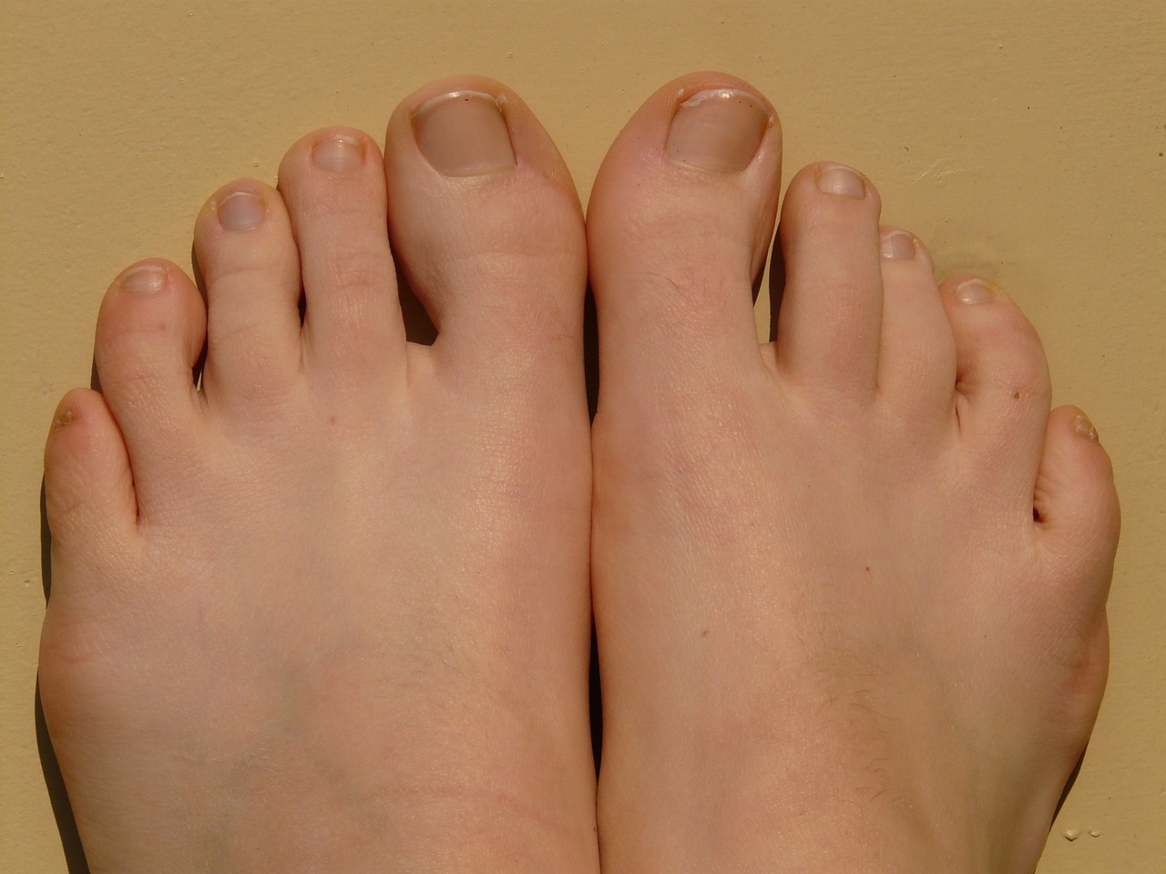 A pair of feet