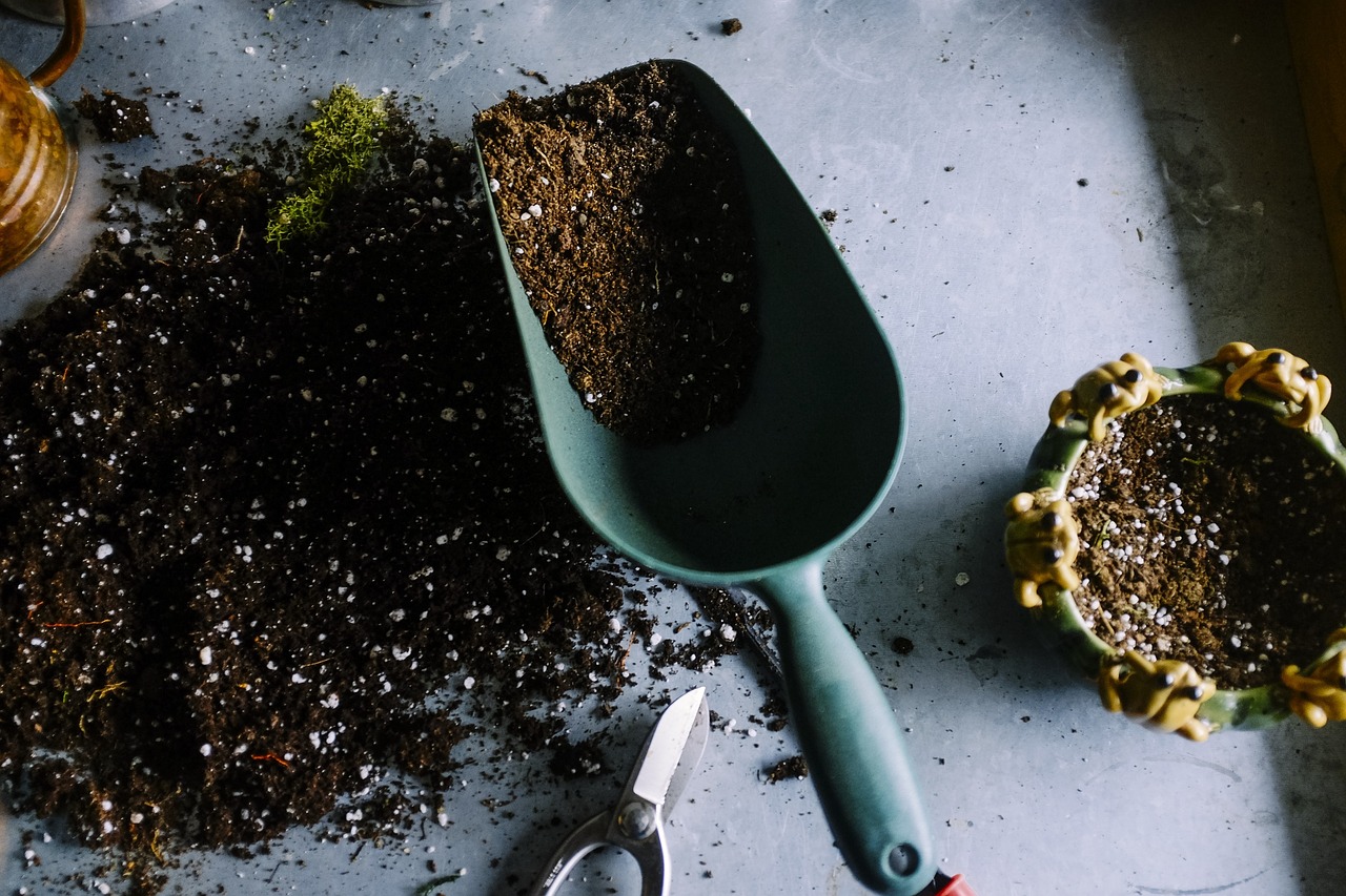 YOU can help us save our soils...