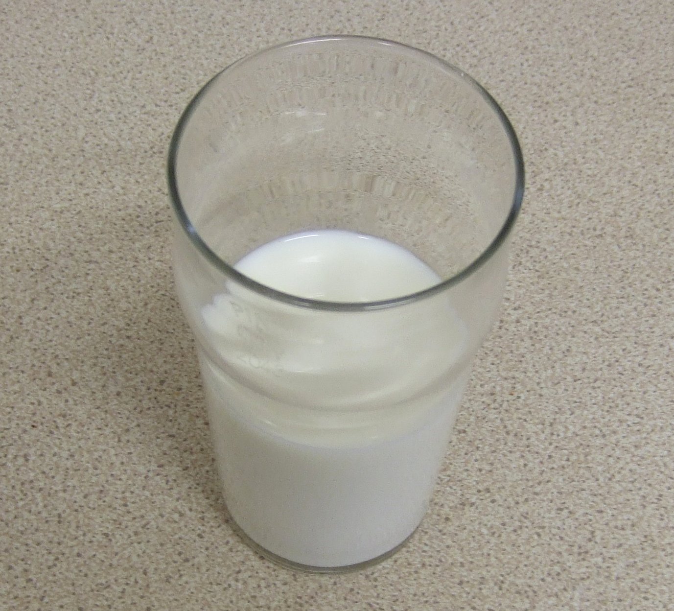 Glass of Milk