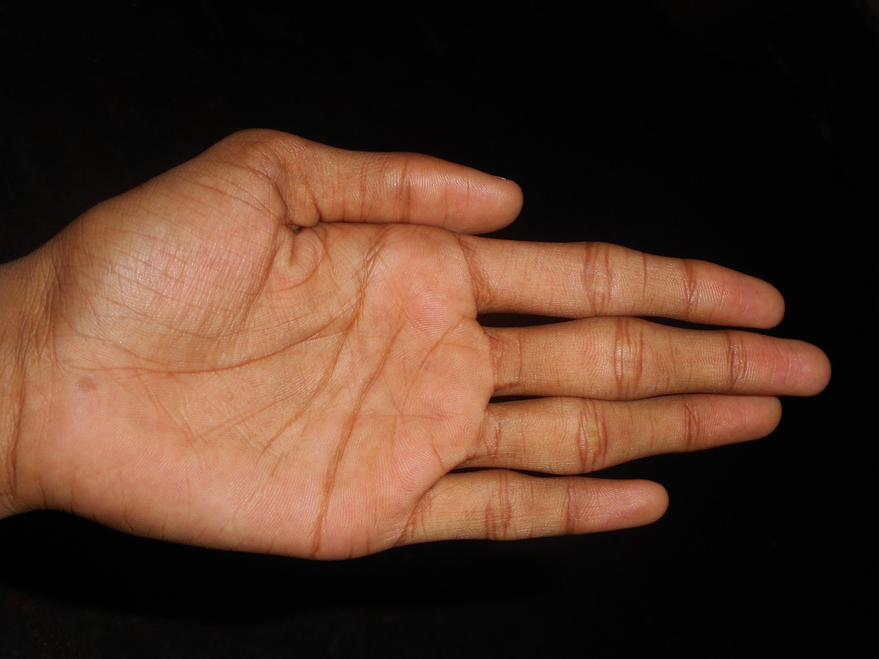 Palm of hand