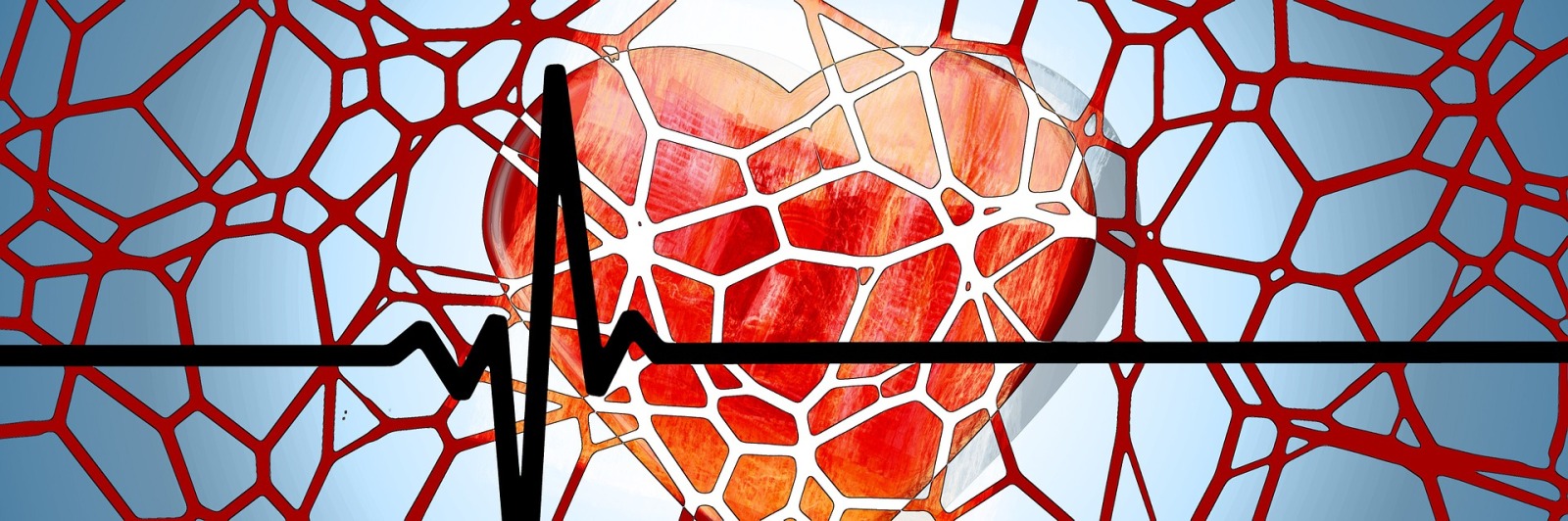 A cartoon heart overlaid by a network of blood vessels and an ECG (electrocardiogram)
