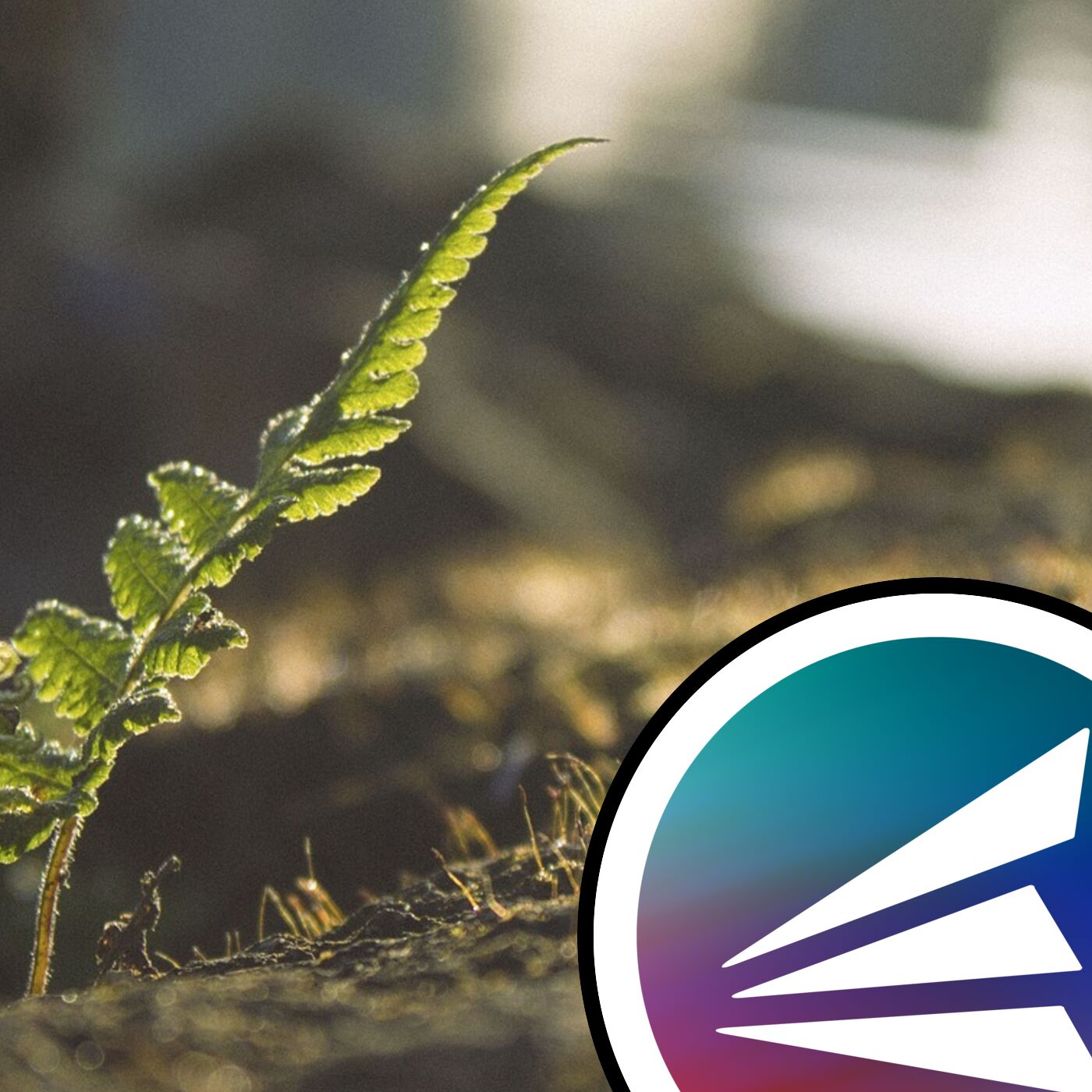 Plant mass extinctions, and getting mental health help