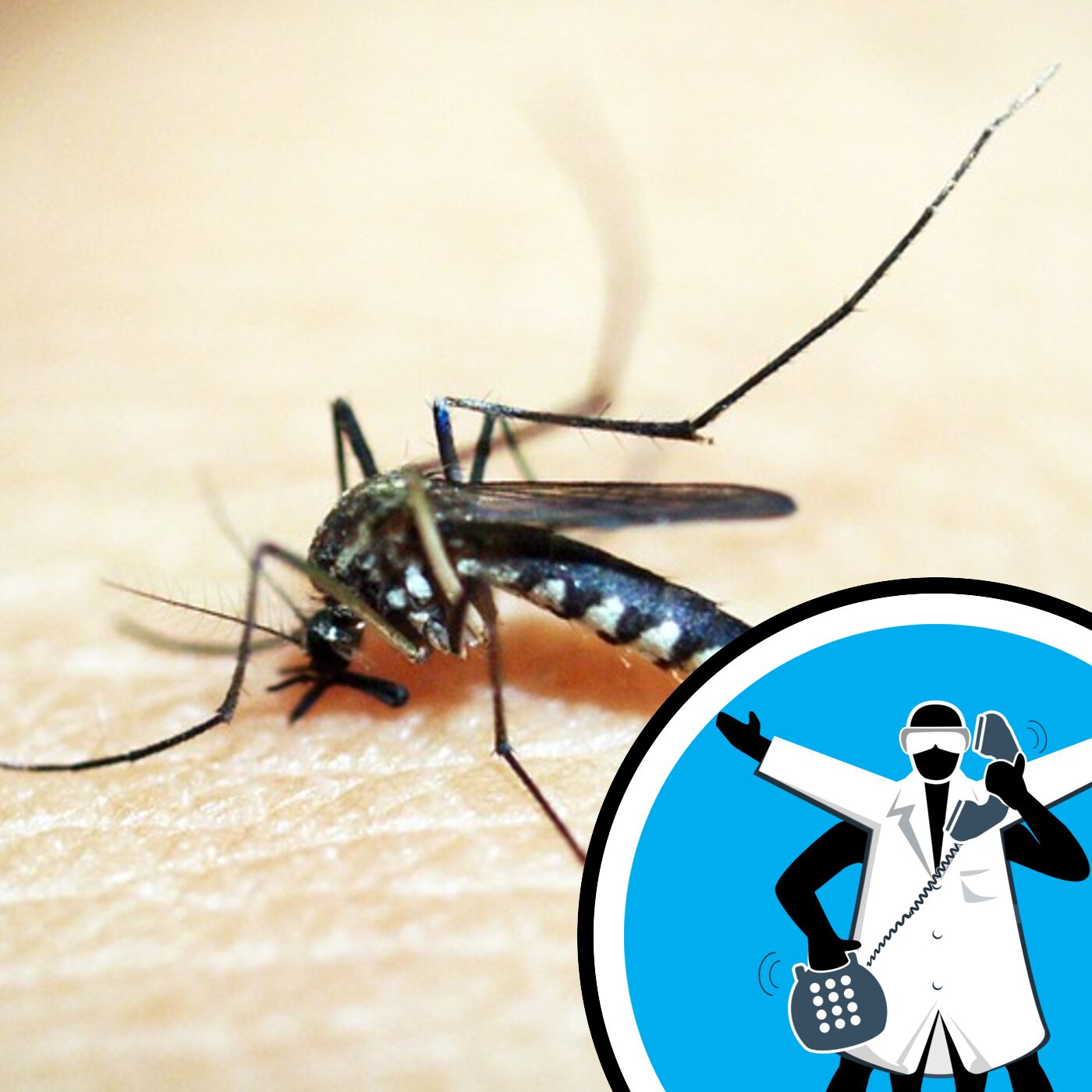 Do mosquitoes prefer certain people?