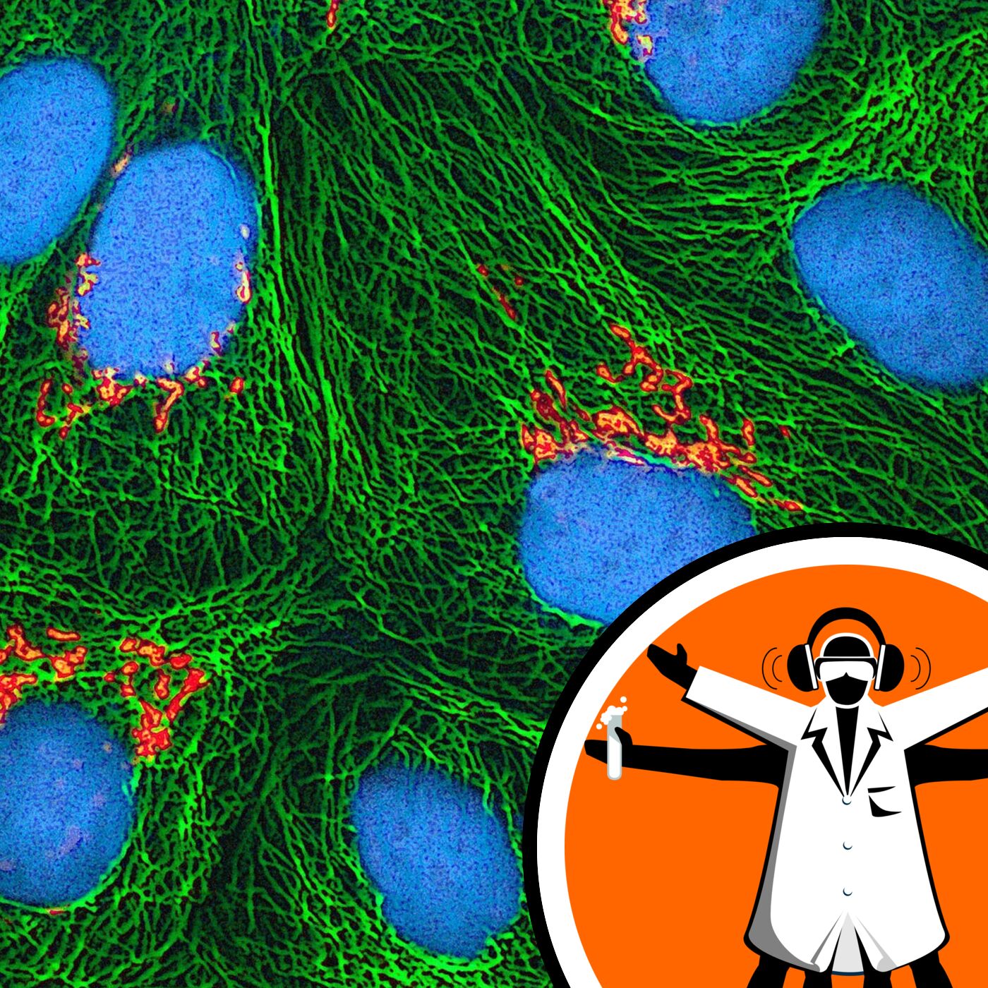 HeLa cells: do you own your own body parts?