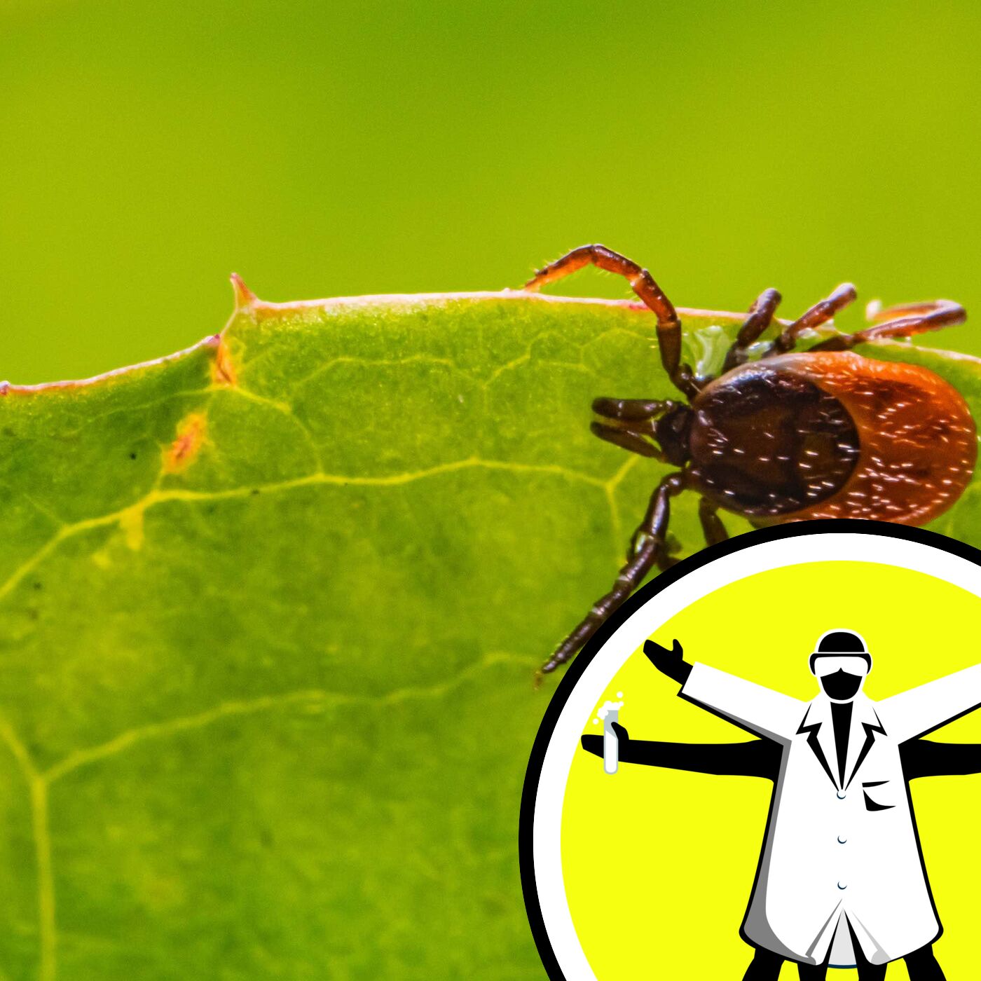Tackling the uptick in ticks