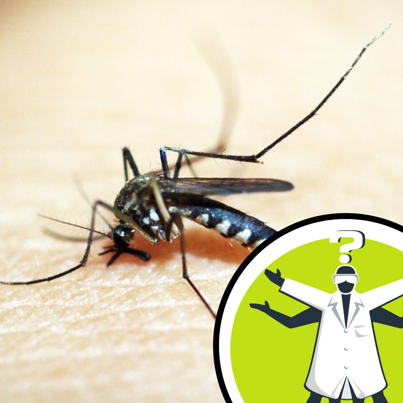 Do mosquitoes prefer certain blood types?