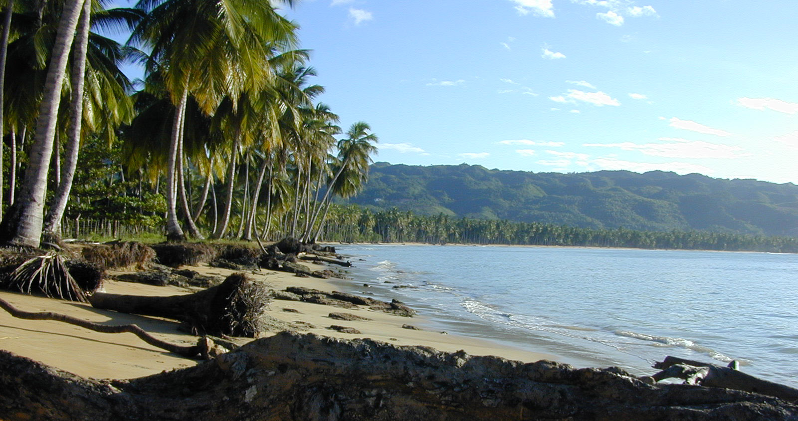 Lost on a beach