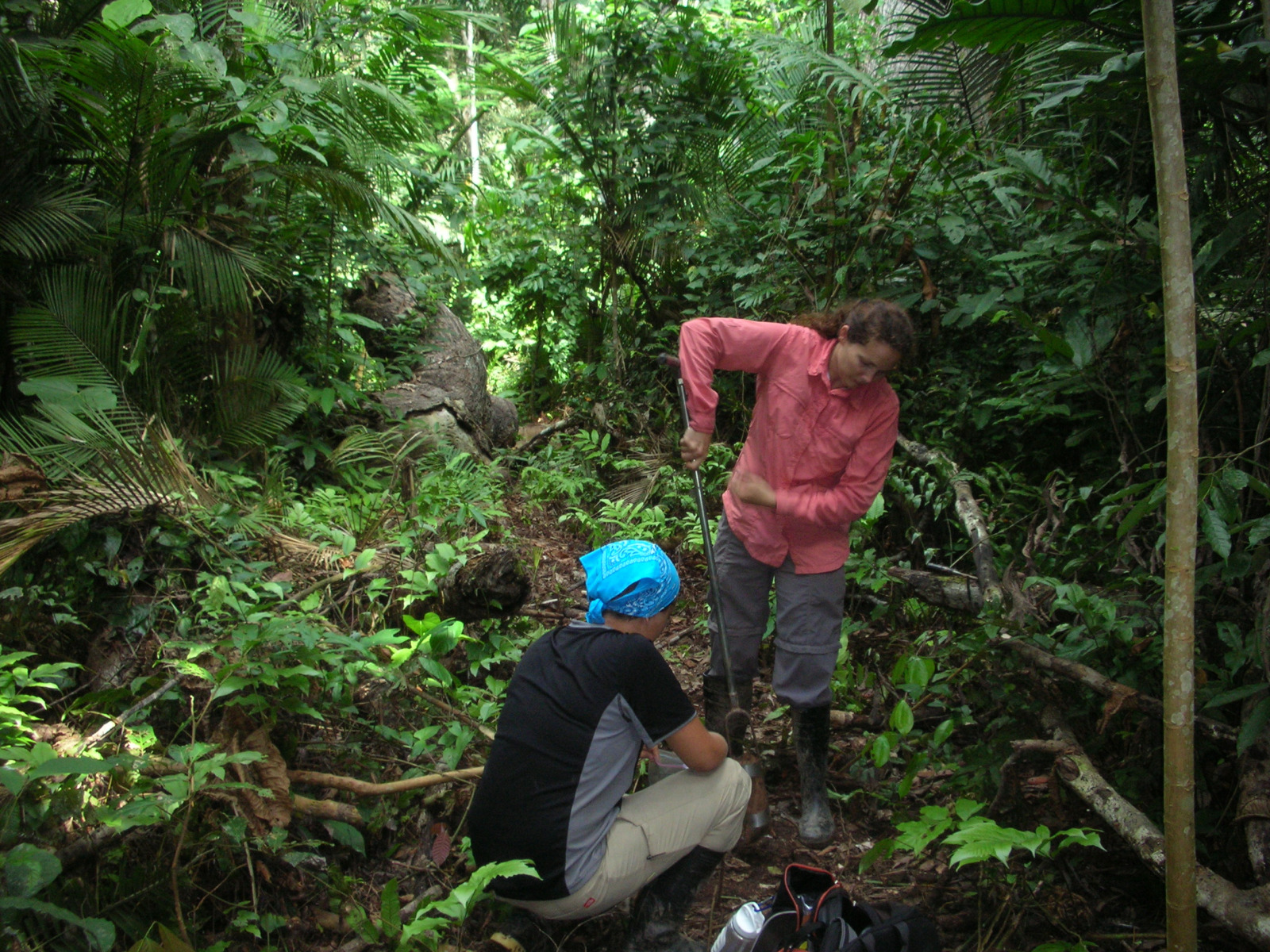 Crystal McMichael and Monica Zimmerman augur for soil cores in the Amazon.