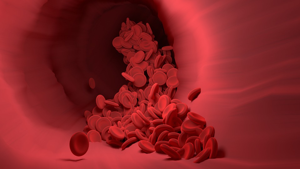red blood cells cascading through a blood vessel