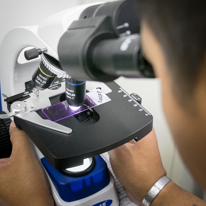 Scientist looking at a specimen down a microscope