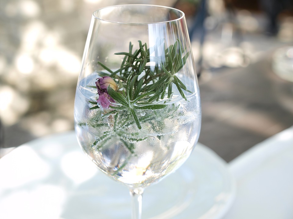 A glass of gin and tonic
