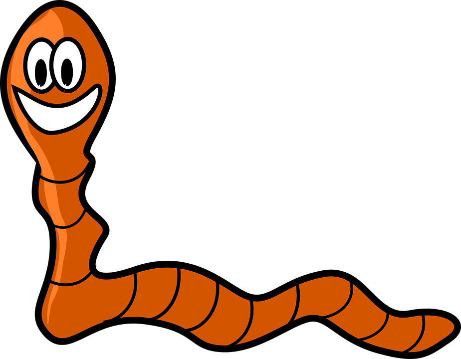 Worm cartoon