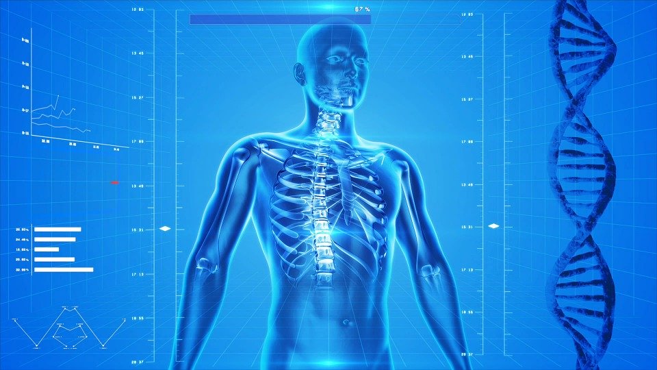 A blue CGI image of a body, showing the skeleton