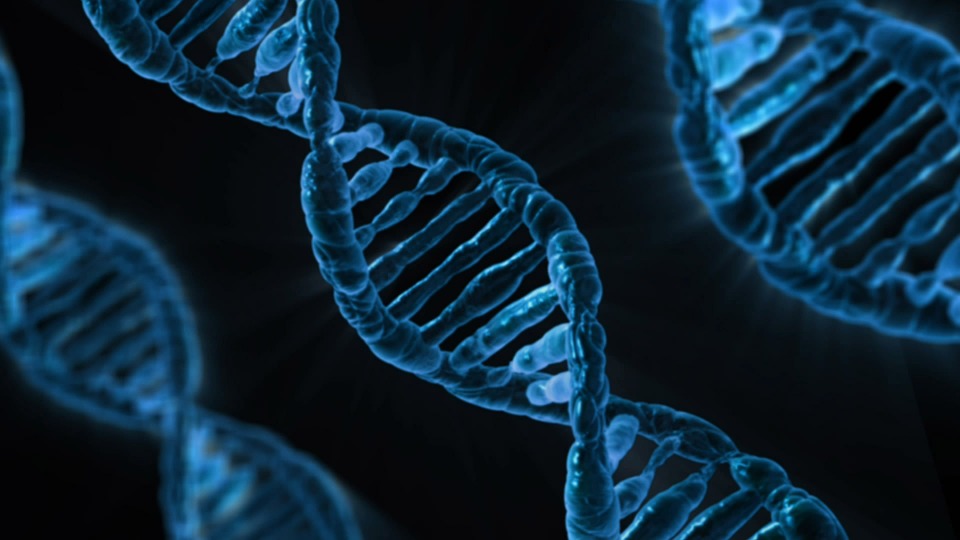blue DNA
